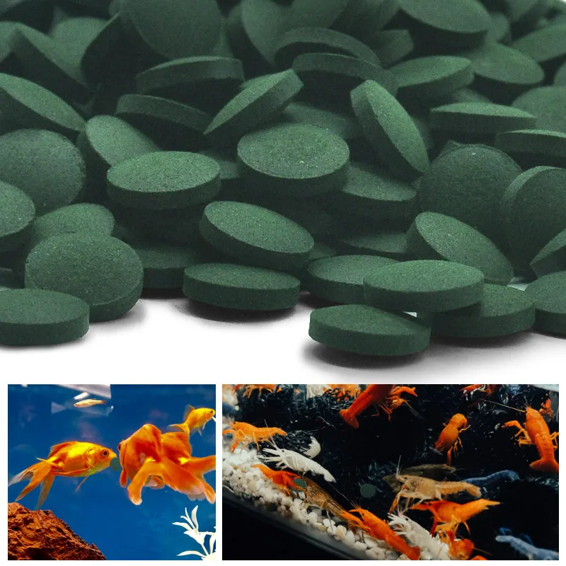 Aquarium Fish Vitamin - 100 pz compresse di spirulina ad