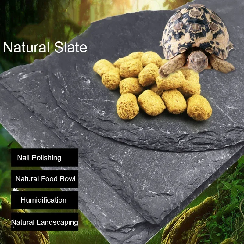 Aquarium Fish Pot - Natural Slate Aquarium Pet rettile Feeder