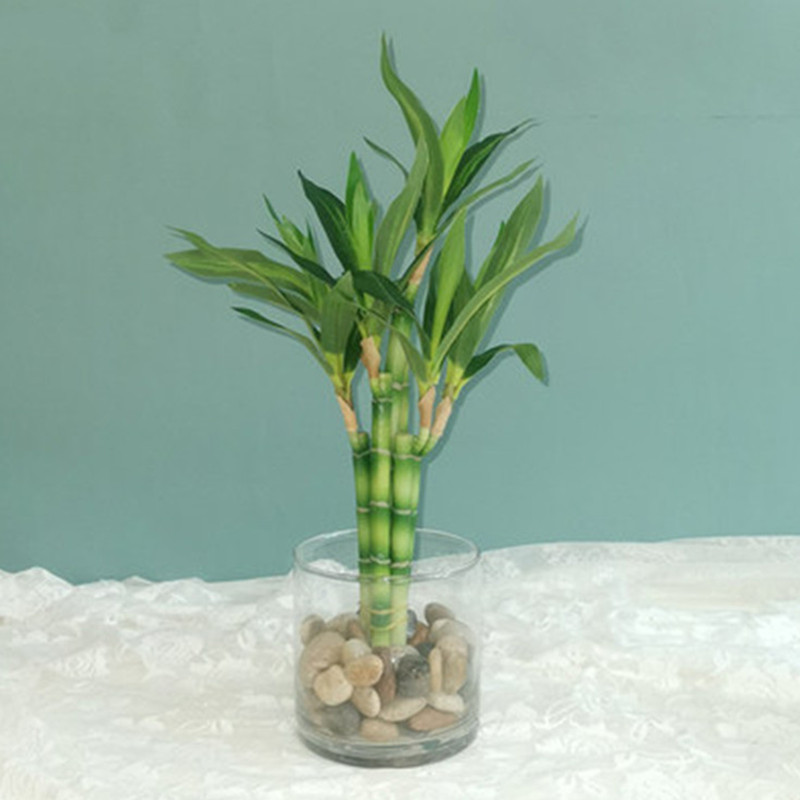 Aquarium Fish Pot - Nuovo 40 cm rFtificial Lucky Bamboo
