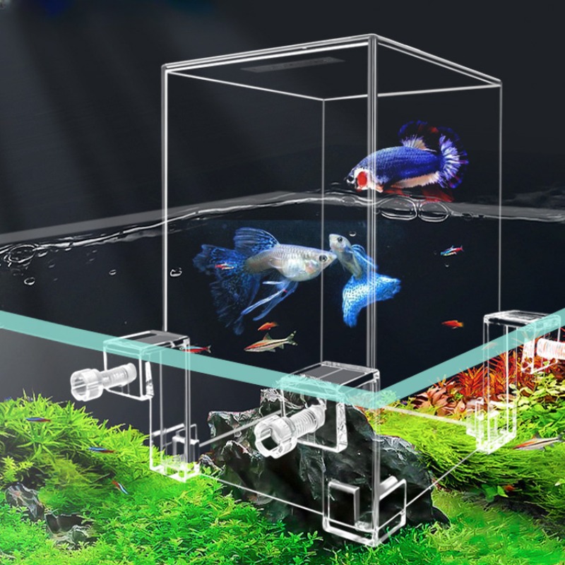 Aquarium Fish Pot - Serbatoi per acquari creativi serbatoio per