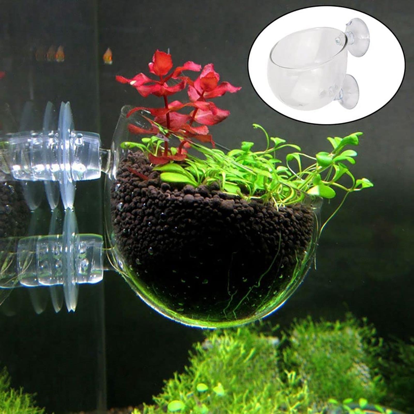 Aquarium Fish Pot - Vaso per piante acquatiche Fioriera per