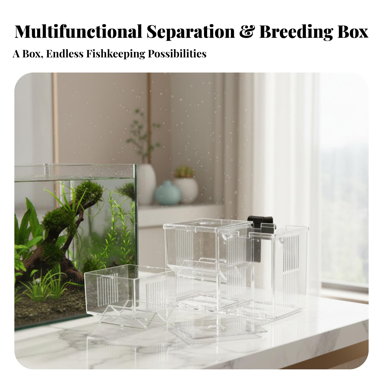 Scatola per Incubazione e Sepa - Aquarium Fish In recensione e prezzo