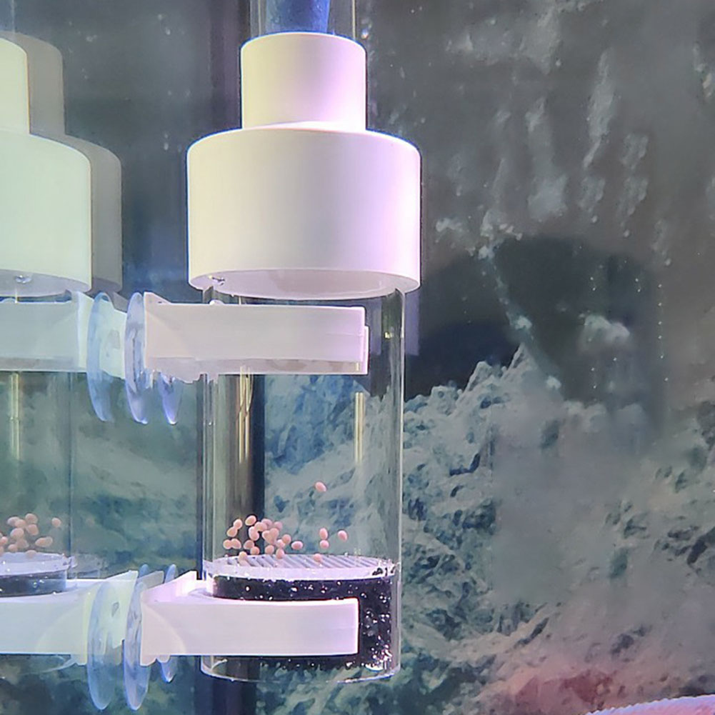 40mm Tumbler Incubatrice Incub - Aquarium Fish Eggs recensione e prezzo