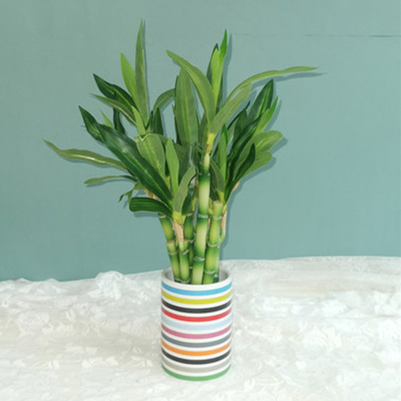 Nuovo 40 cm rFtificial Lucky B - Aquarium Fish Pot recensione e prezzo