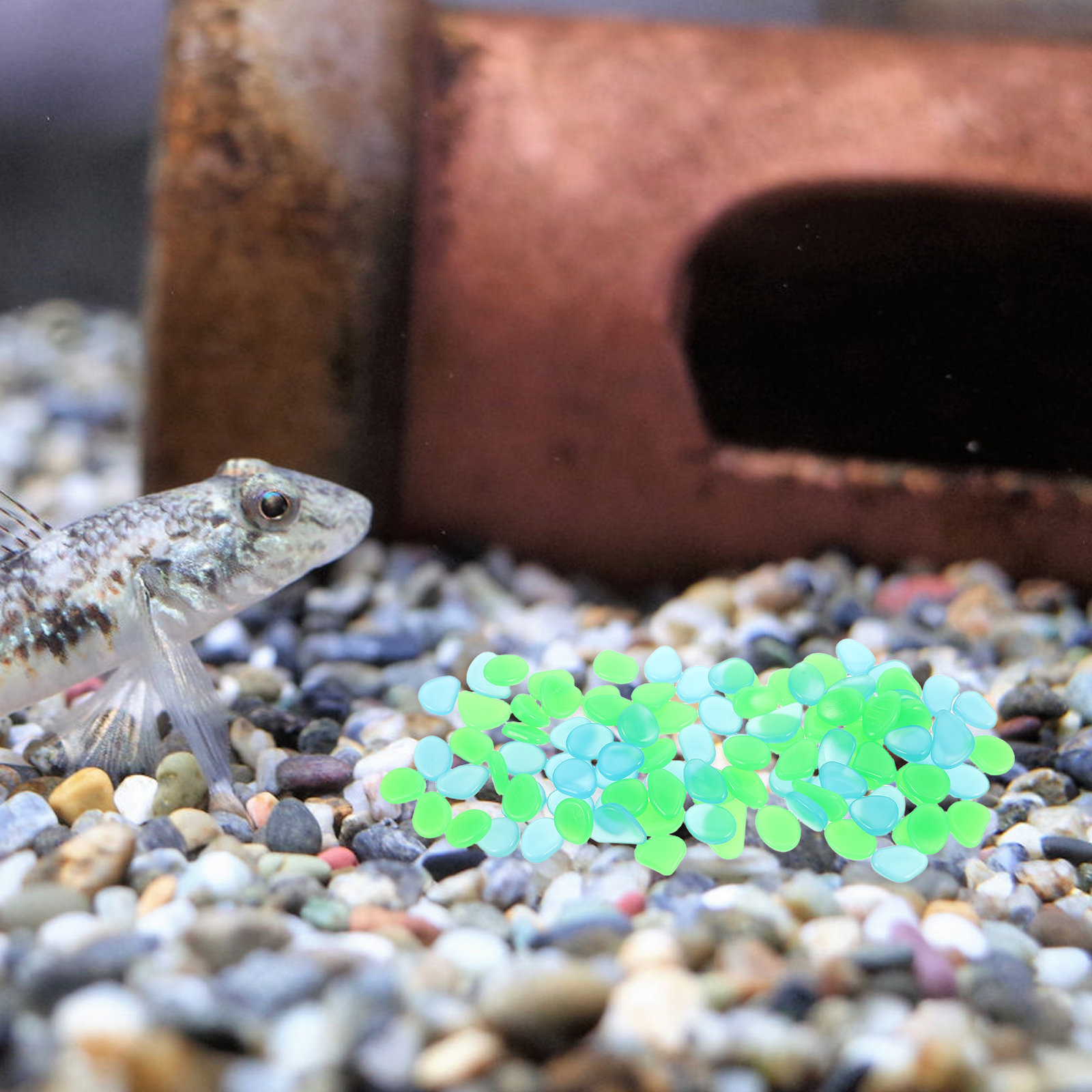 100 Pezzi di Pietre Luminose N - Aquarium Decoration Rock recensione e prezzo