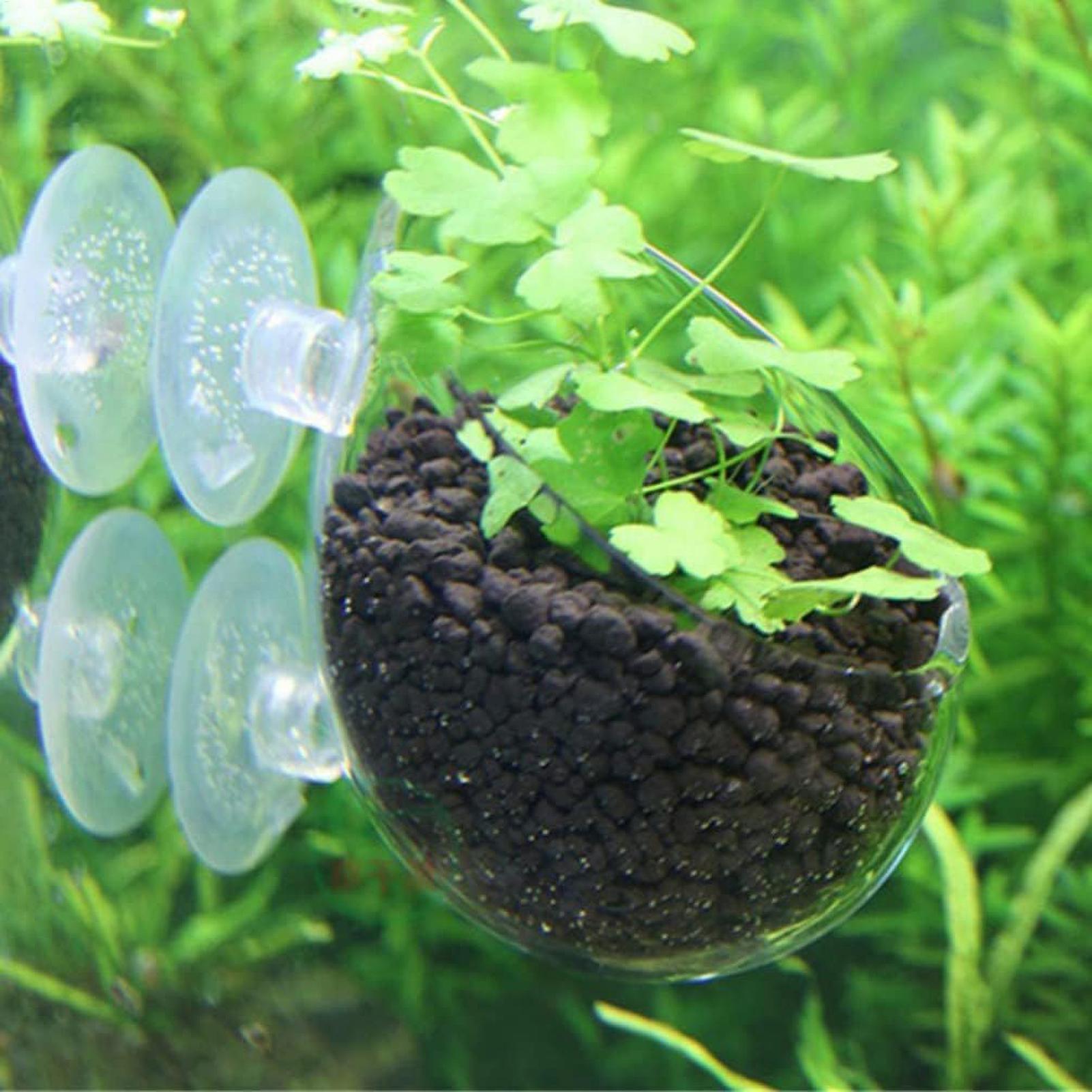 Supporto per Piante Acquatiche - Aquarium Fish Pot recensione e prezzo
