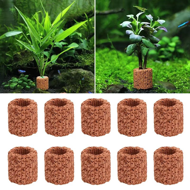 Anello fisso per piante acquat - Aquarium Fish Pot recensione e prezzo