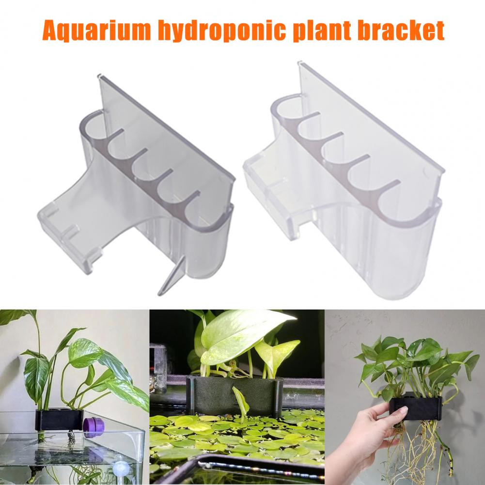 4.5/6.5 centimetri Acquario Pi - Aquarium Fish Pot recensione e prezzo