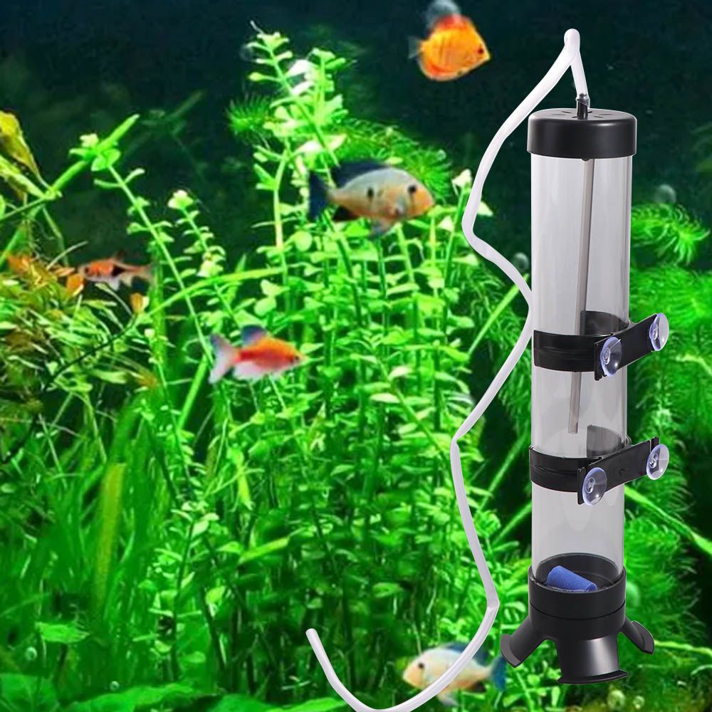 Incubatrice per uova di Artemi - Aquarium Fish Eggs recensione e prezzo