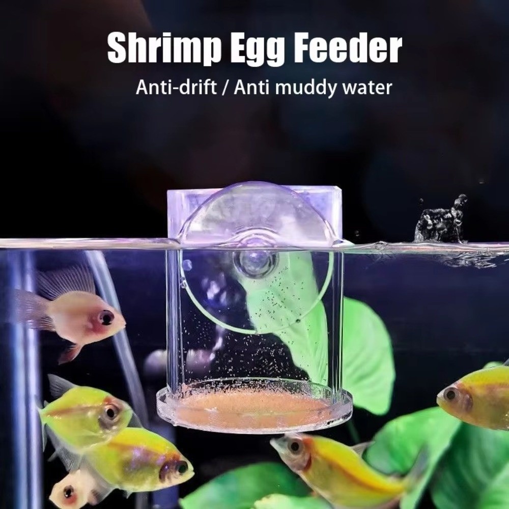 Mangiatoia per gamberetti in s - Aquarium Fish Eggs recensione e prezzo