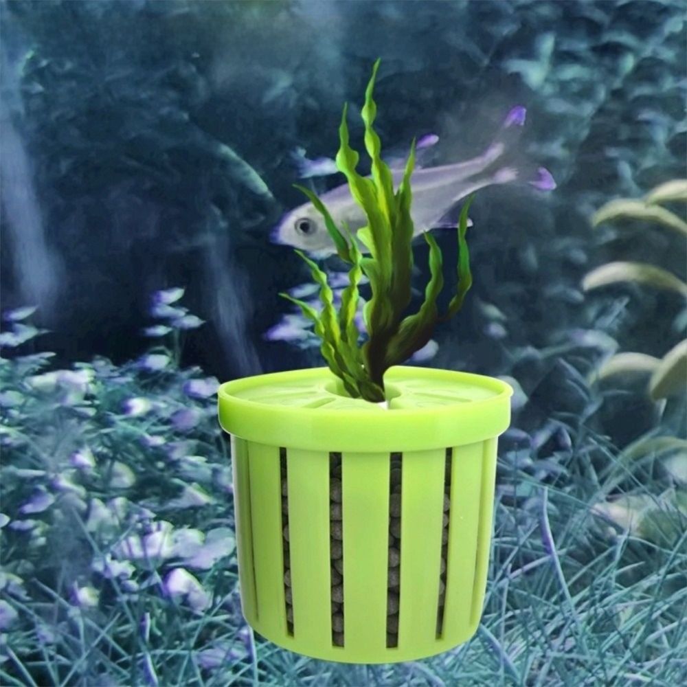 4 pezzi supporto per piante d' - Aquarium Fish Pot recensione e prezzo