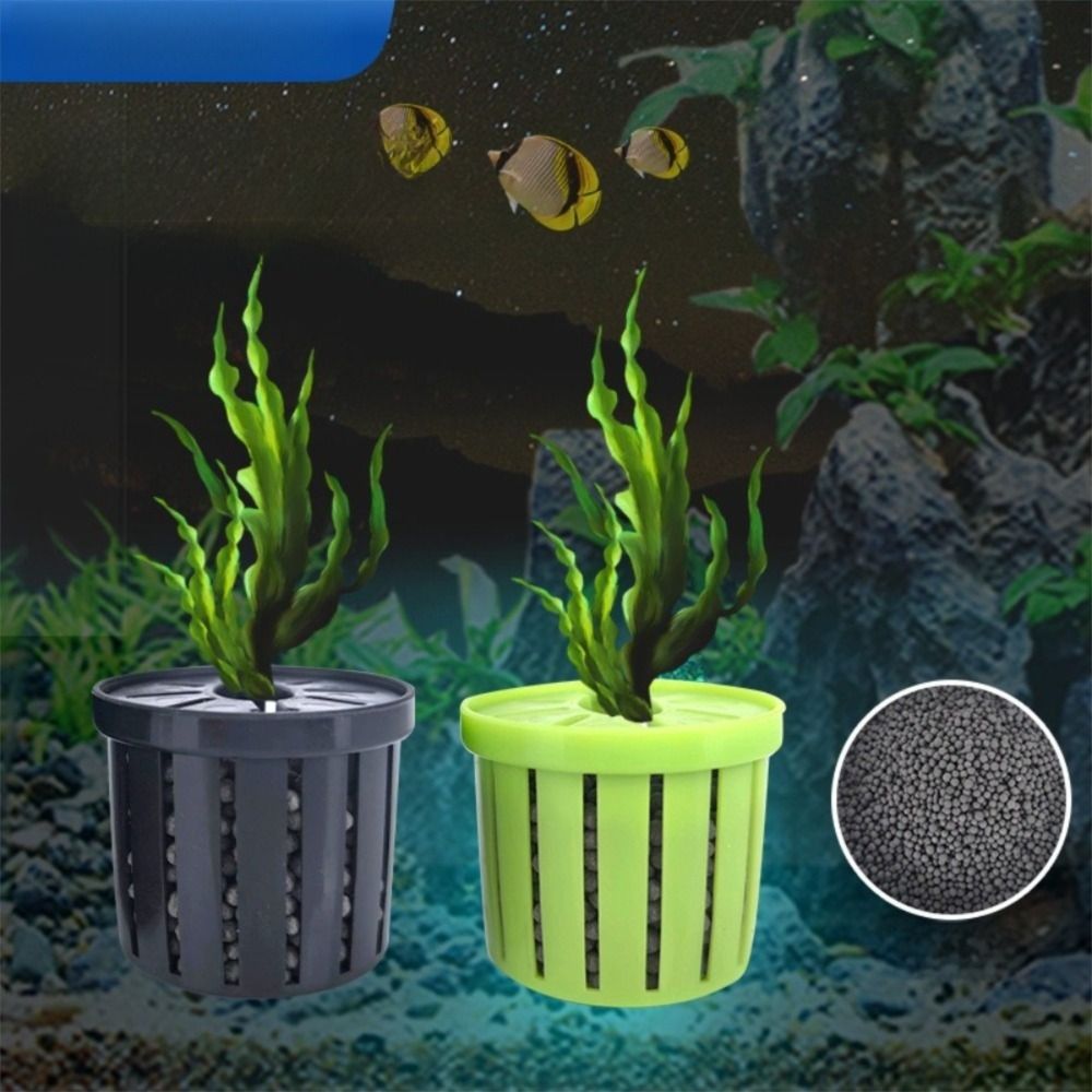 4 pezzi supporto per piante d' - Aquarium Fish Pot recensione e prezzo