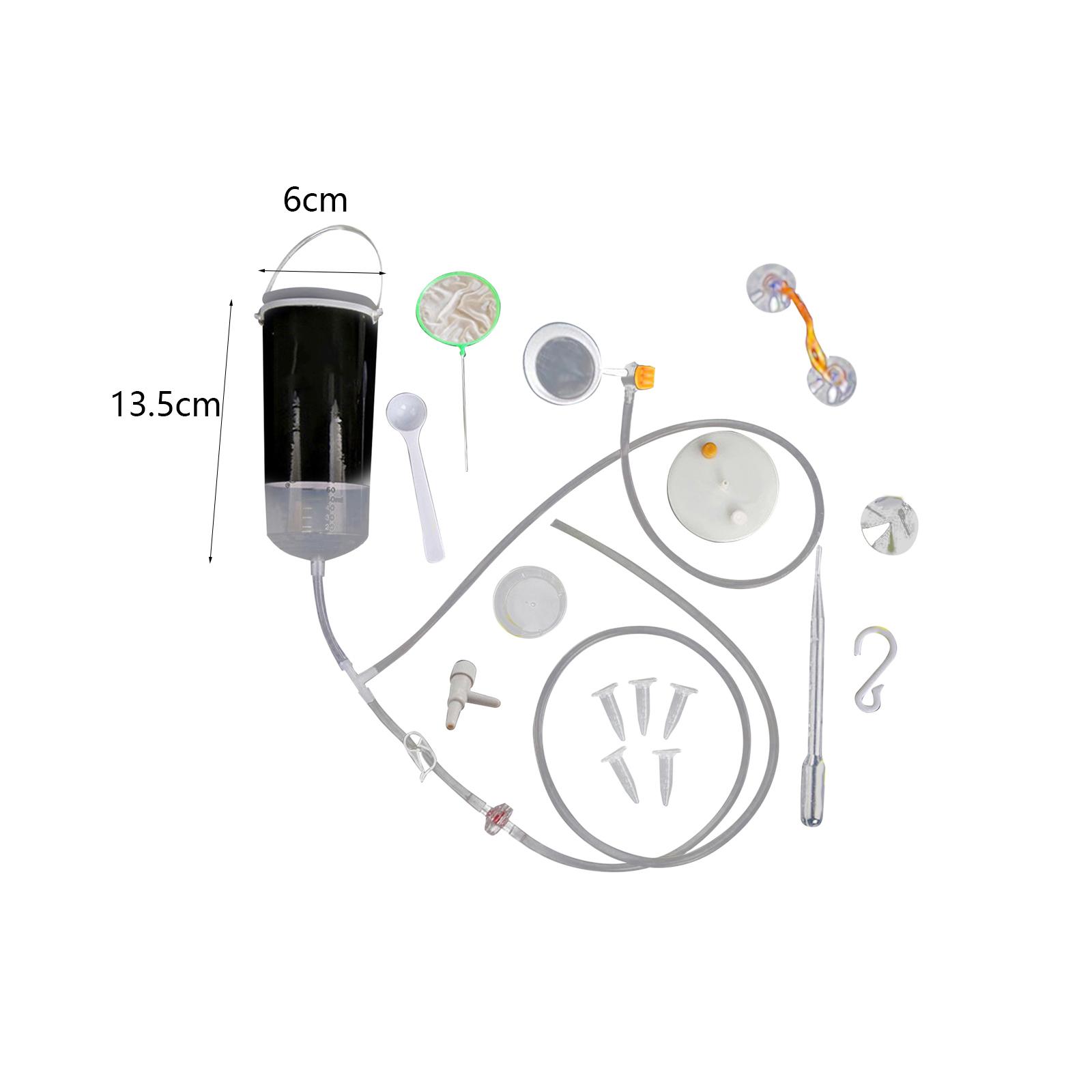 Incubatrice per Uova di Animal - Aquarium Fish Eggs recensione e prezzo