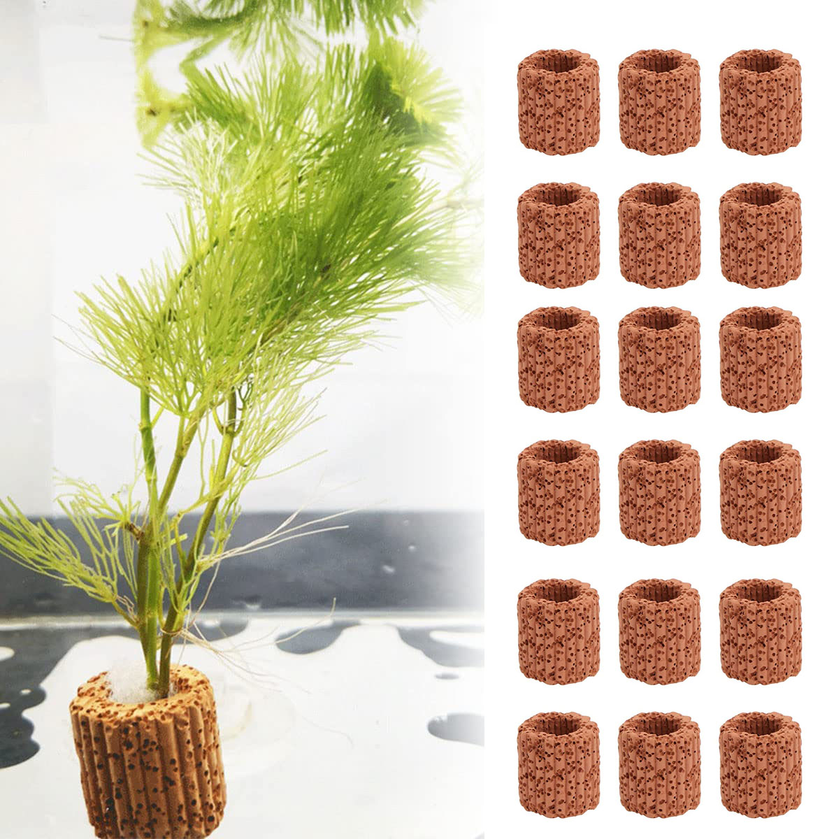 10/20Pcs Base ad anello fisso  - Aquarium Fish Pot recensione e prezzo