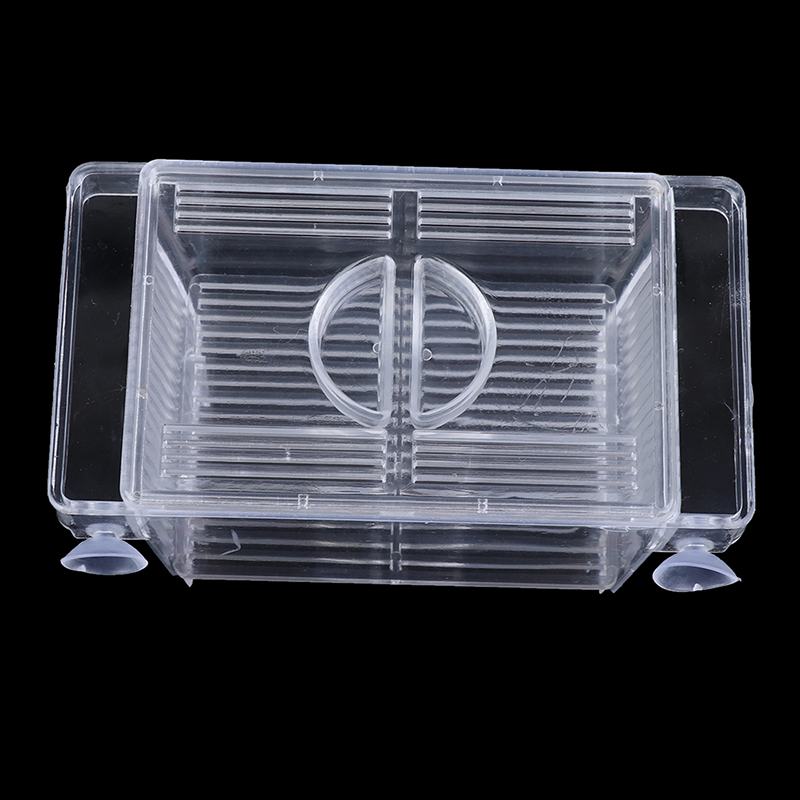 Acquario acquario acquario Gup - Aquarium Fish Eggs recensione e prezzo