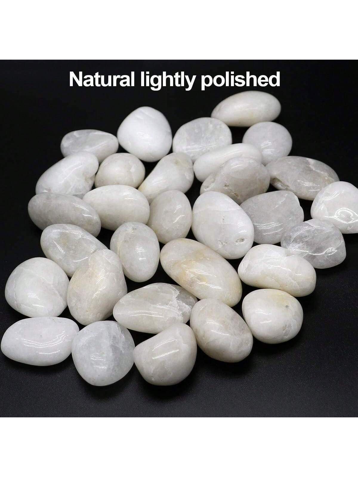 Rocce di fiume Pietre decorati - Aquarium Decoration Rock recensione e prezzo