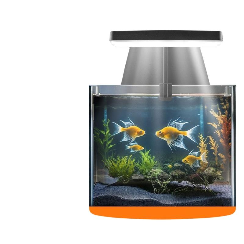 Lampada LED USB per Acquario c - Aquarium Fish In recensione e prezzo