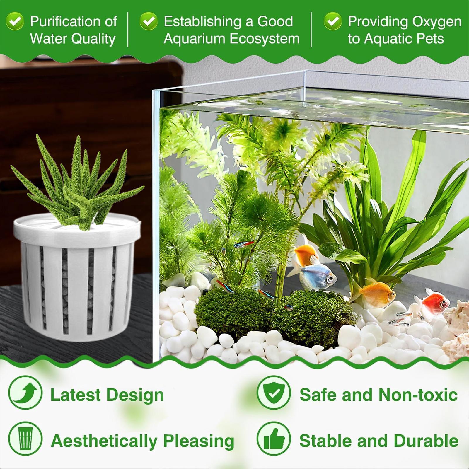 Set di 4 Vasi per Acquario con - Aquarium Fish Pot recensione e prezzo