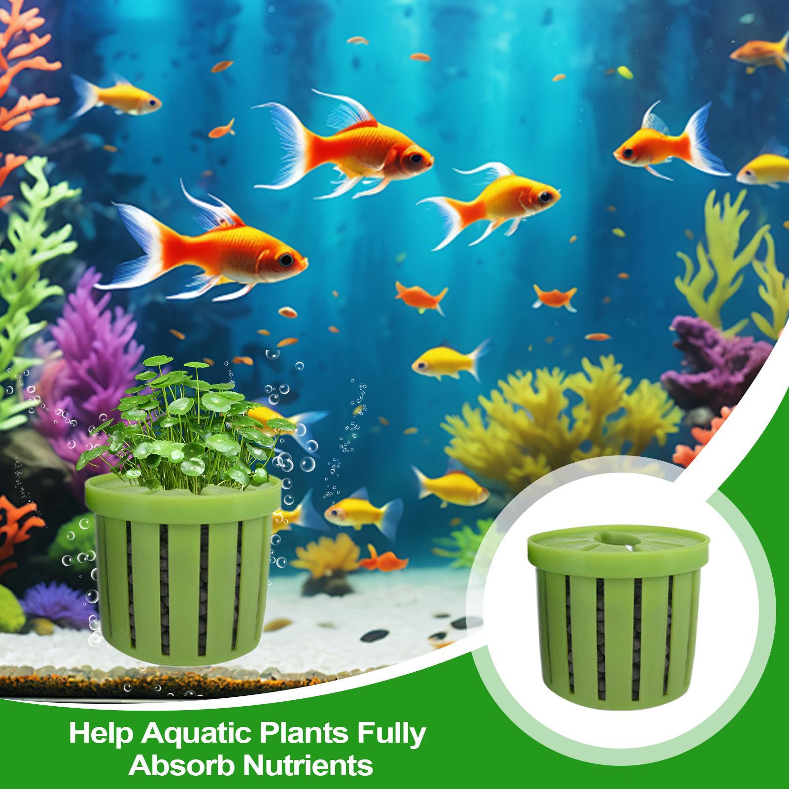 Set di 4 Vasi per Acquario con - Aquarium Fish Pot recensione e prezzo