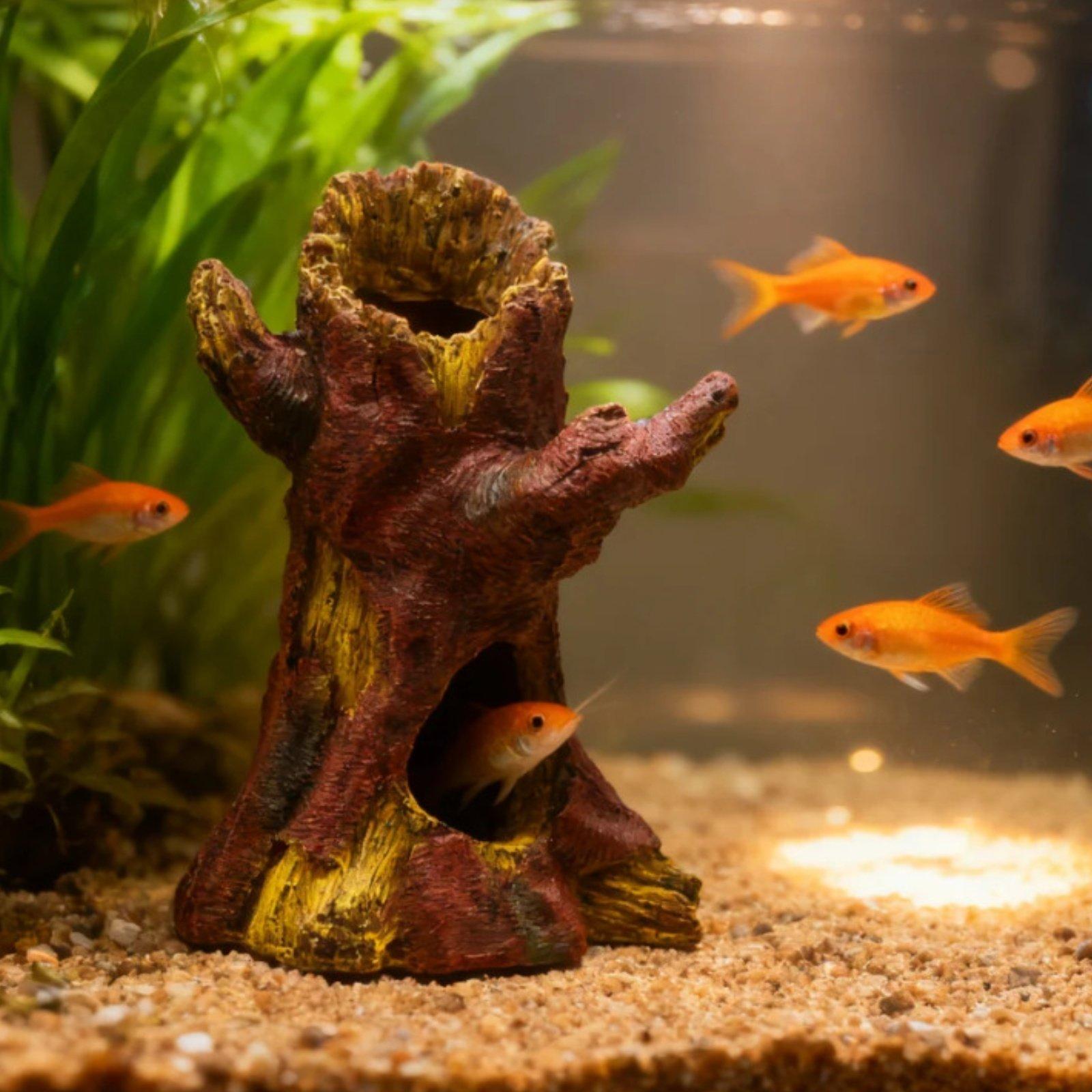 Decorazione per Acquario, Tron - Aquarium Fish In recensione e prezzo