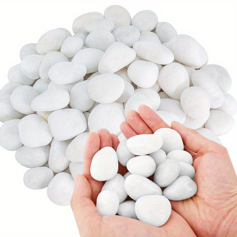 200/400g Bianco Alto Lucido Ci - Aquarium Decoration Rock recensione e prezzo