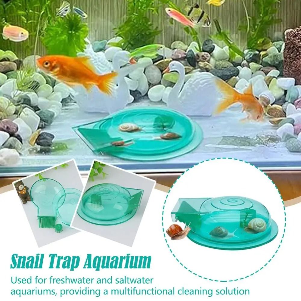 Trappola per Lumache d'Acquari - Aquarium Fish Eggs recensione e prezzo