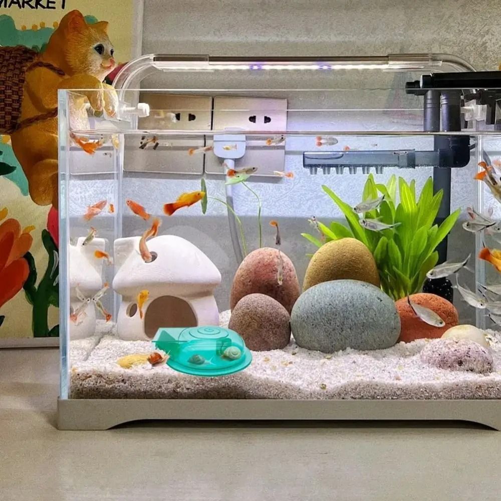 Trappola per Lumache d'Acquari - Aquarium Fish Eggs recensione e prezzo