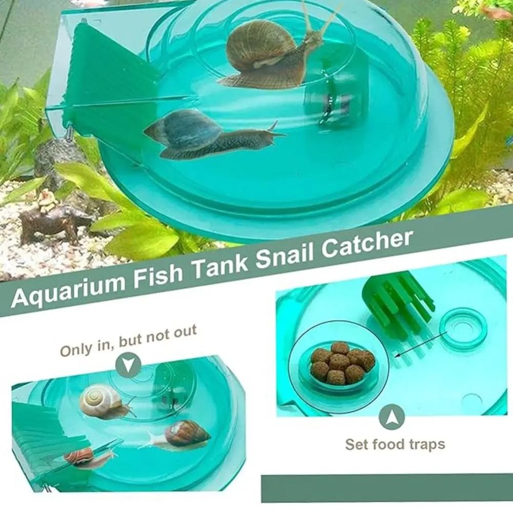 Trappola per Lumache d'Acquari - Aquarium Fish Eggs recensione e prezzo