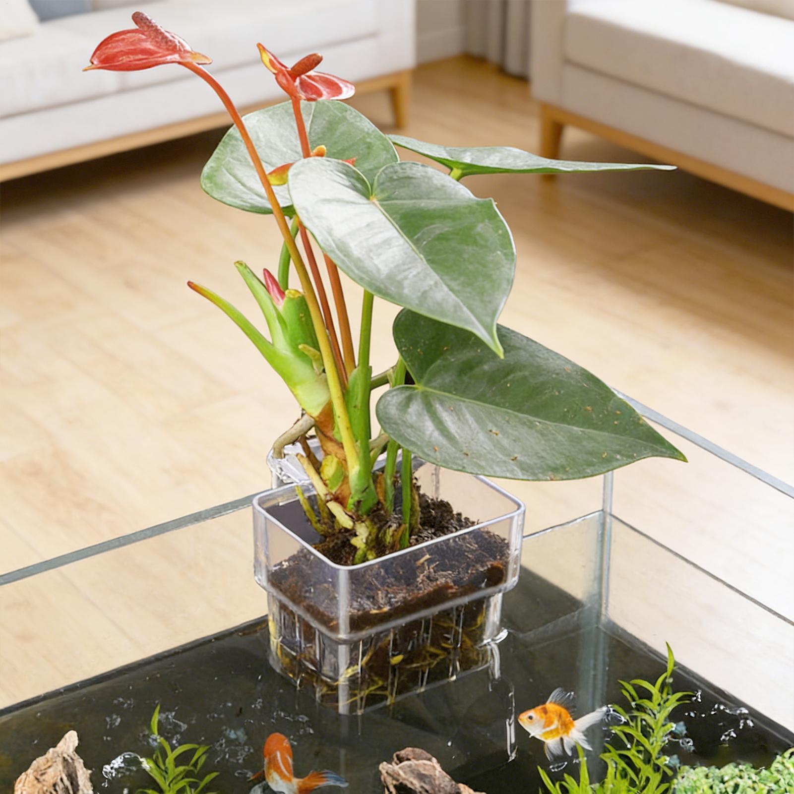 Vaso Trasparente Appendibile p - Aquarium Fish Pot recensione e prezzo