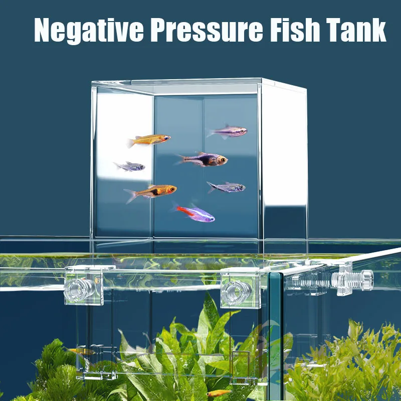 Serbatoi per acquari creativi  - Aquarium Fish Pot recensione e prezzo