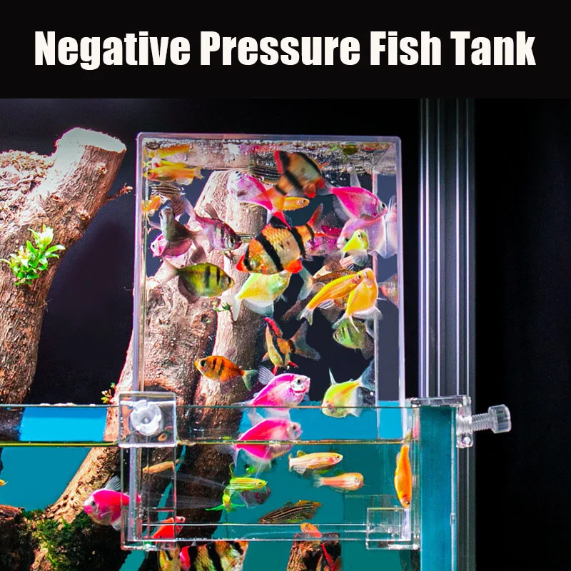 Serbatoi per acquari creativi  - Aquarium Fish Pot recensione e prezzo