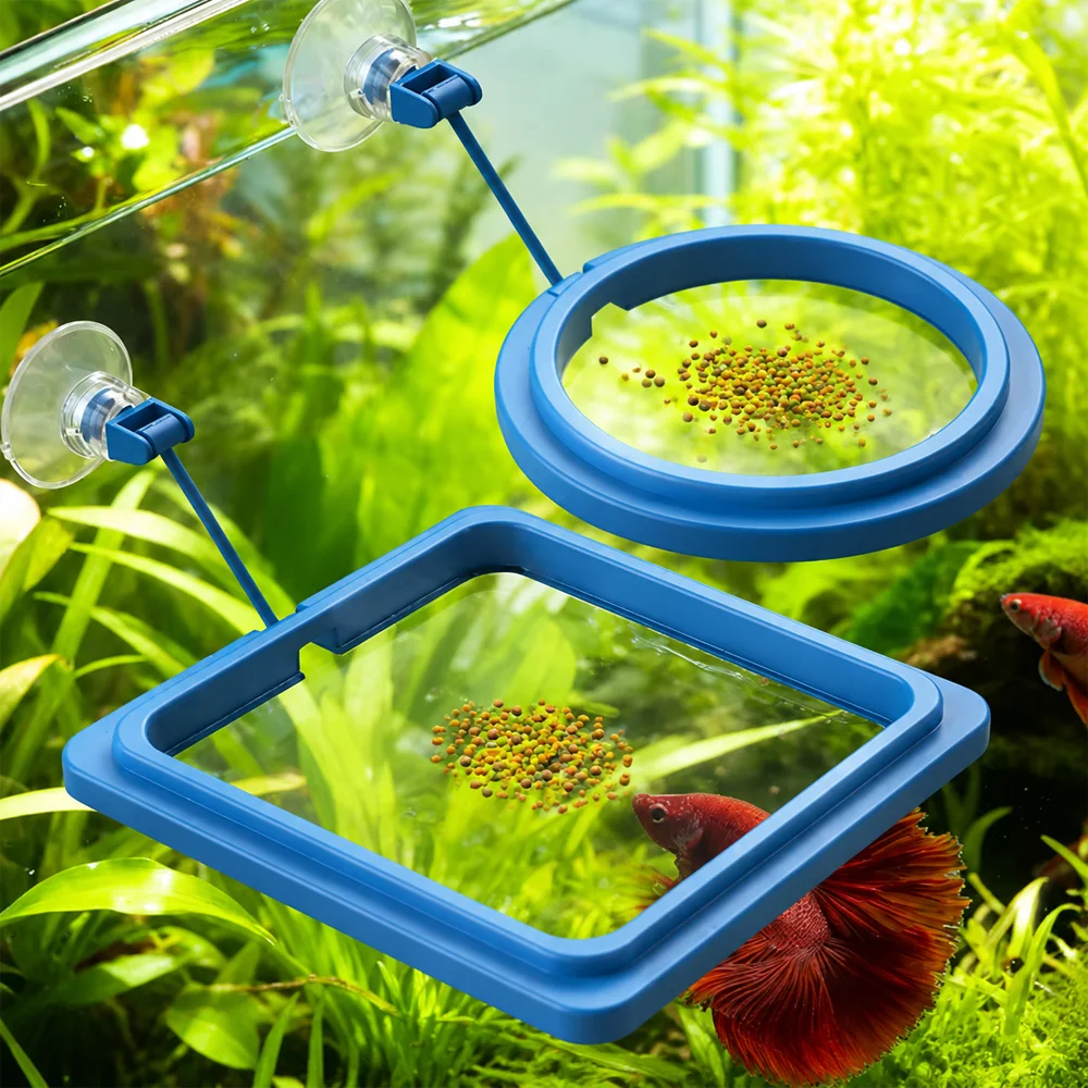 Mangime per Pesci Betta Galleg - Aquarium Fish Eggs recensione e prezzo