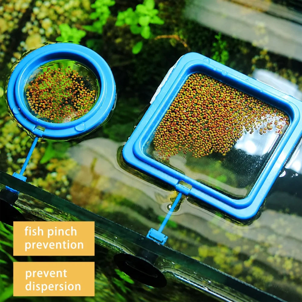 Mangime per Pesci Betta Galleg - Aquarium Fish Eggs recensione e prezzo