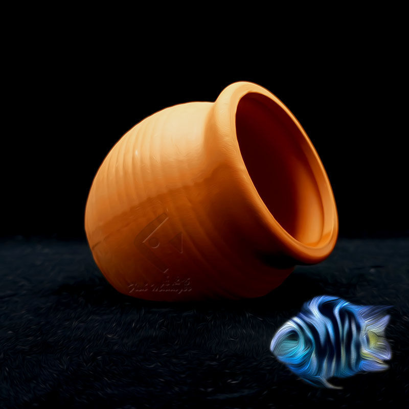 Acquario Mini Serbatoio in cer - Aquarium Fish Pot recensione e prezzo