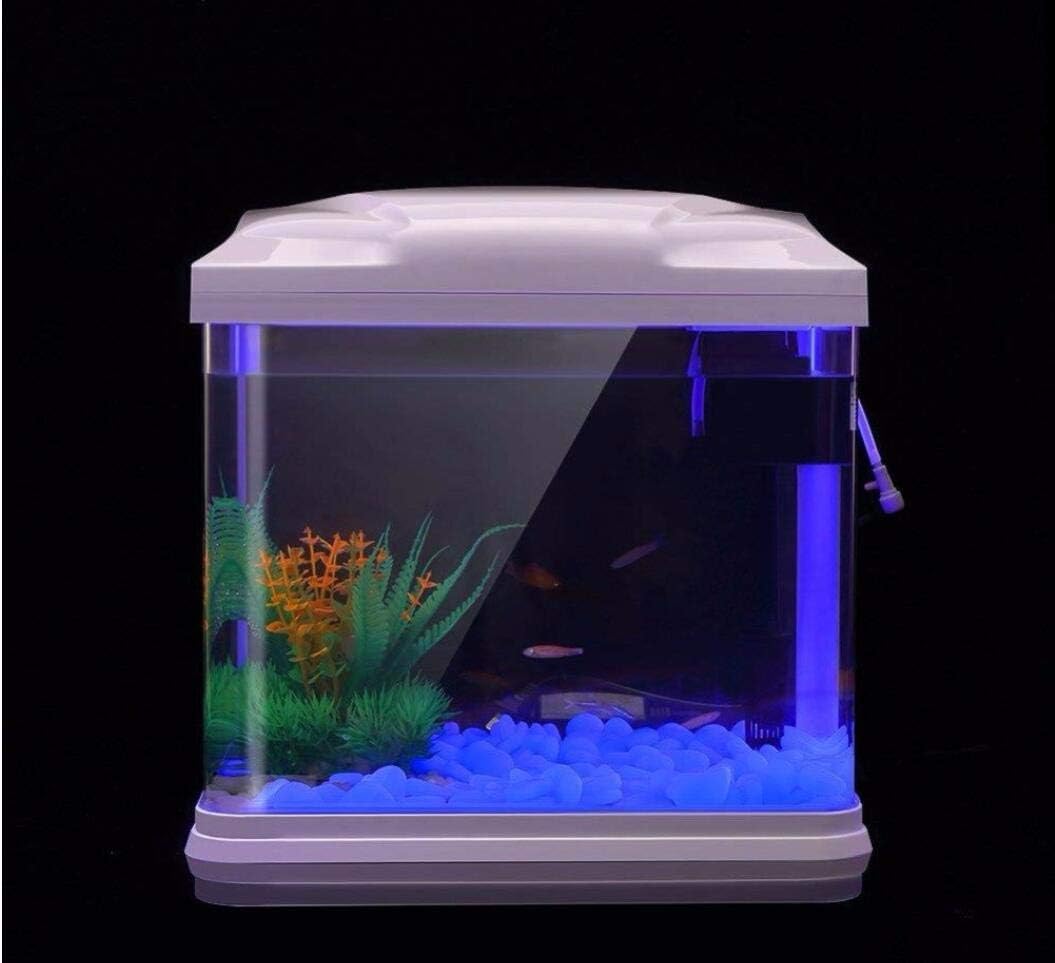 Rocce per acquari che si illum - Aquarium Fish Pot recensione e prezzo