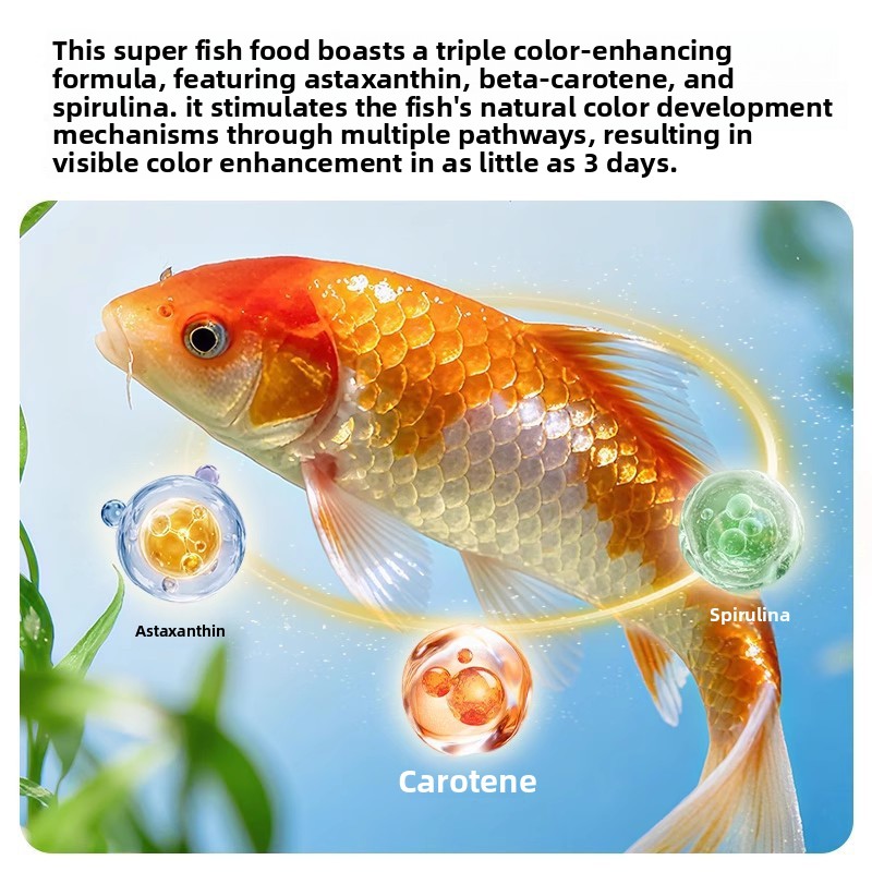 Yee Piccoli pellet galleggiant - Aquarium Fish Vitamin recensione e prezzo
