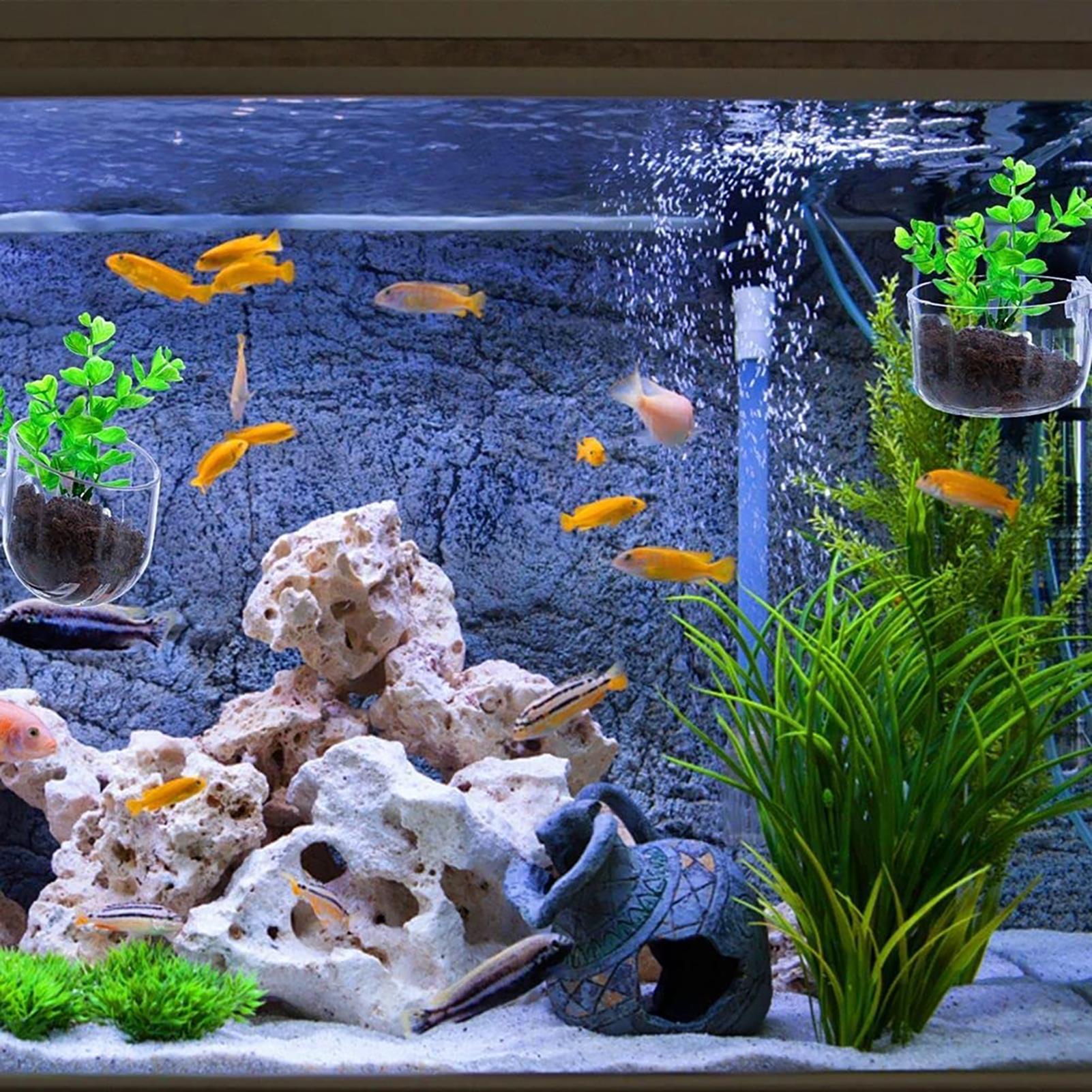 Vaso per piante acquatiche Fio - Aquarium Fish Pot recensione e prezzo