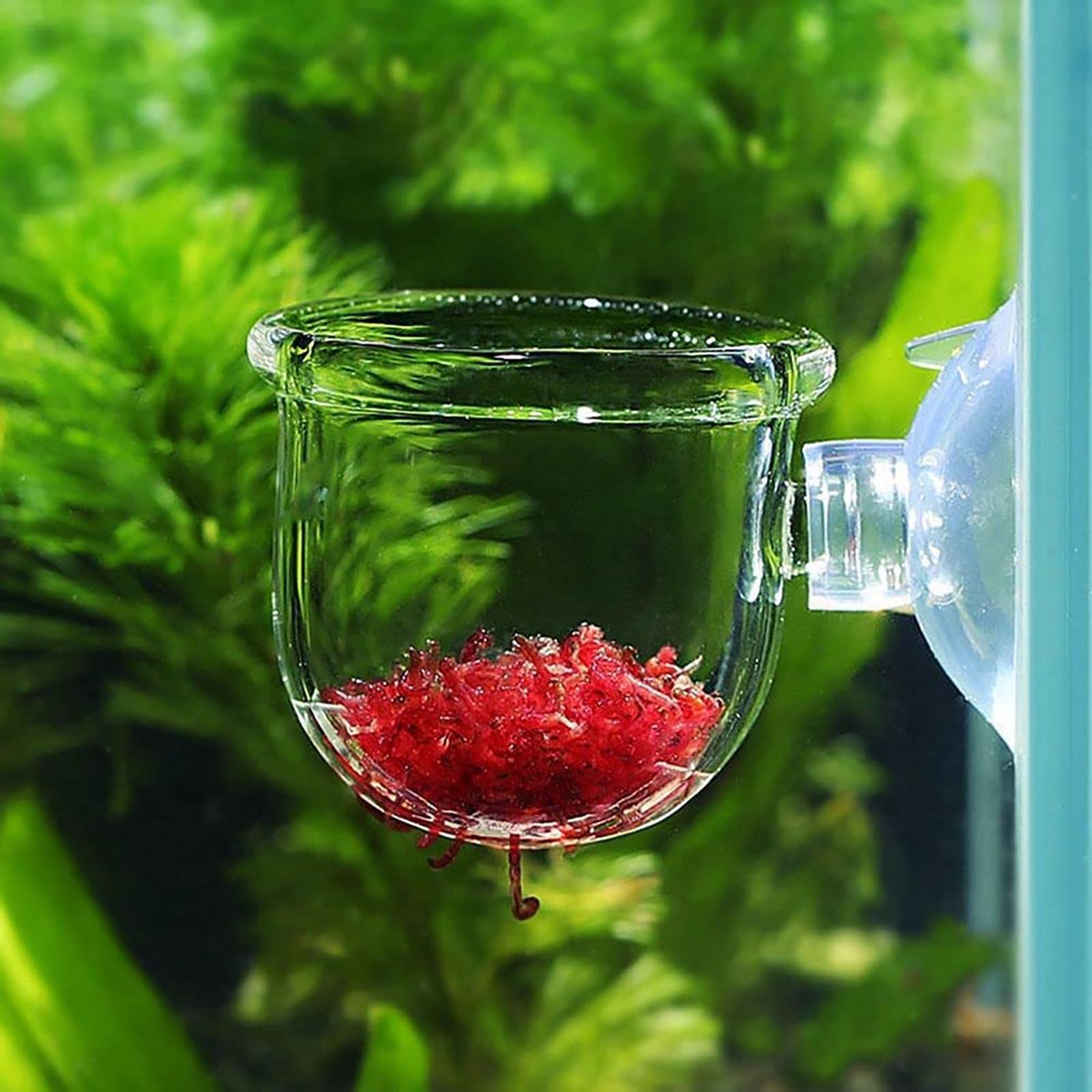Vaso per piante acquatiche Fio - Aquarium Fish Pot recensione e prezzo