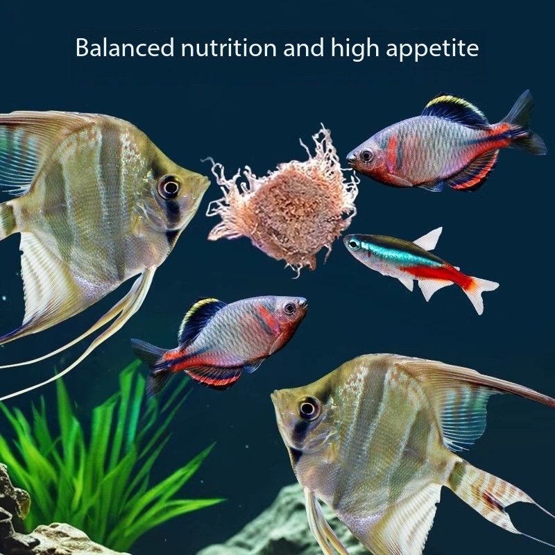Cubetti di larve di sangue lio - Aquarium Fish Vitamin recensione e prezzo