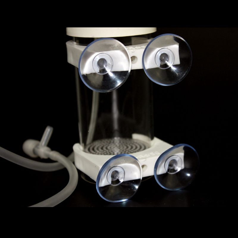 Incubatrice per Uova di Ciclid - Aquarium Fish Eggs recensione e prezzo