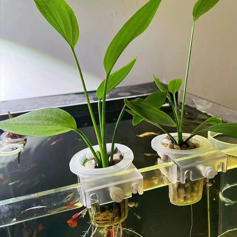 Cesto per piantare acquario Su - Aquarium Fish Pot recensione e prezzo