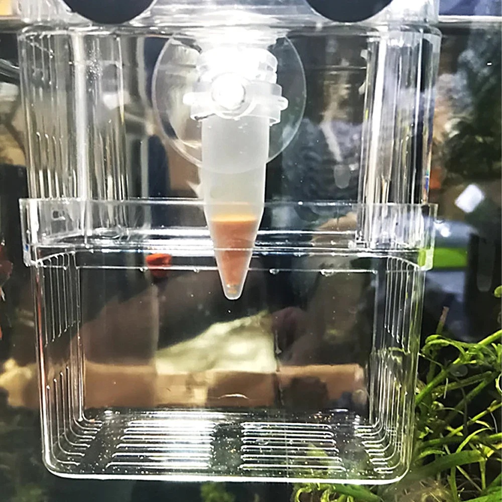 Alimentatore automatico per pe - Aquarium Fish Eggs recensione e prezzo