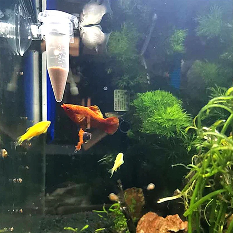 Alimentatore automatico per pe - Aquarium Fish Eggs recensione e prezzo